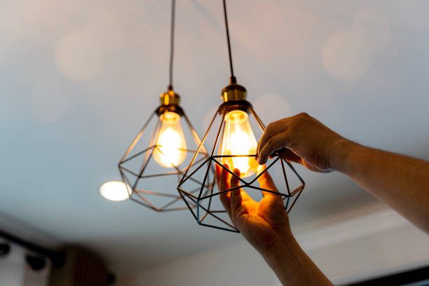 Best Local Electrician Companies  in Strawberry Plains, TN